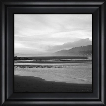 Framed Salt Creek IV Print