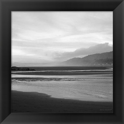 Framed Salt Creek IV Print