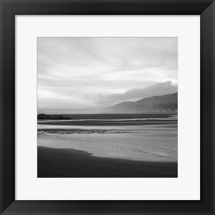 Framed Salt Creek IV Print