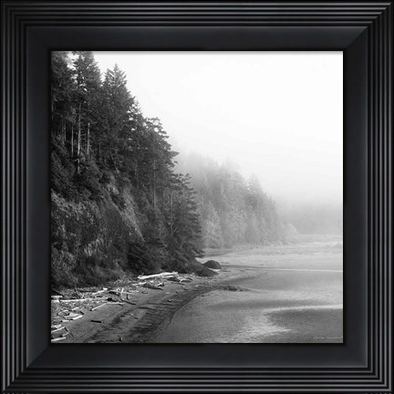 Framed Salt Creek III Print