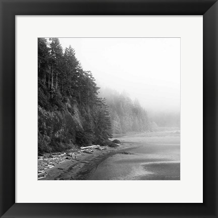 Framed Salt Creek III Print