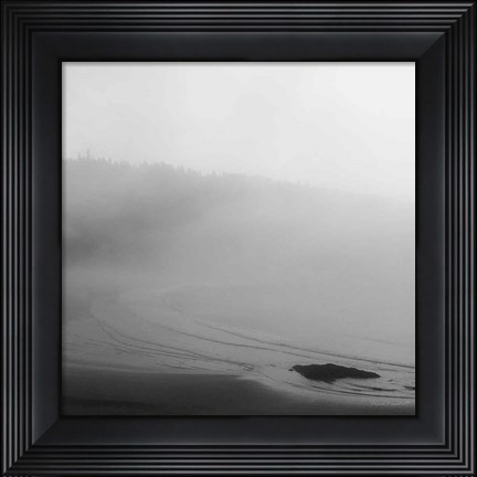 Framed Salt Creek II Print