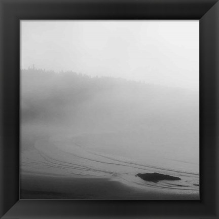 Framed Salt Creek II Print