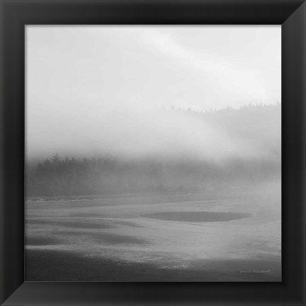 Framed Salt Creek I Print