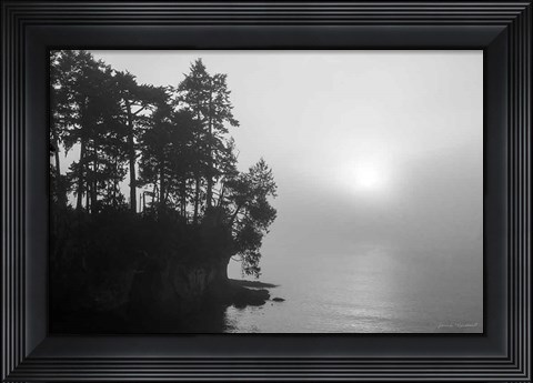Framed Tongue Point Print