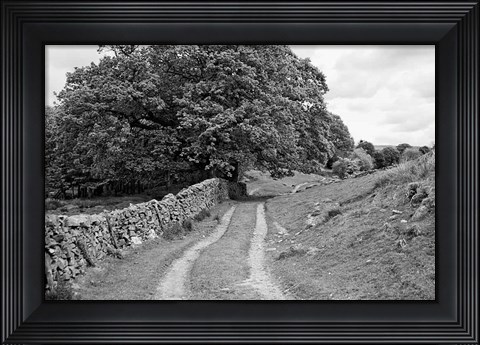Framed Wynlass Beck Print