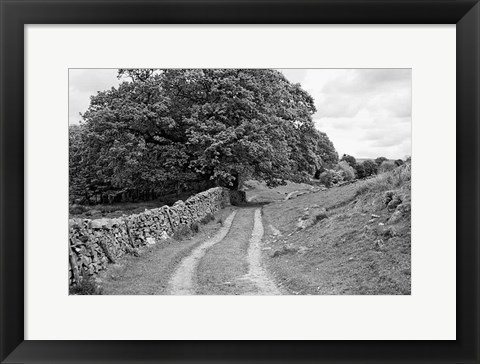 Framed Wynlass Beck Print