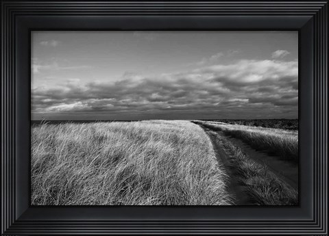 Framed Road to the Beach Print