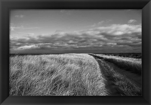 Framed Road to the Beach Print