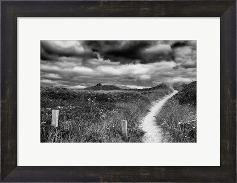 Framed Nantucket Pathway Print