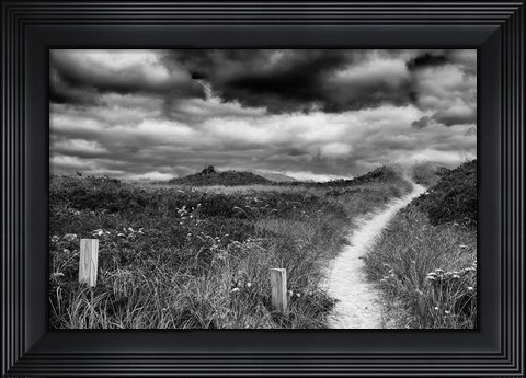 Framed Nantucket Pathway Print