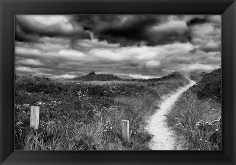 Framed Nantucket Pathway Print