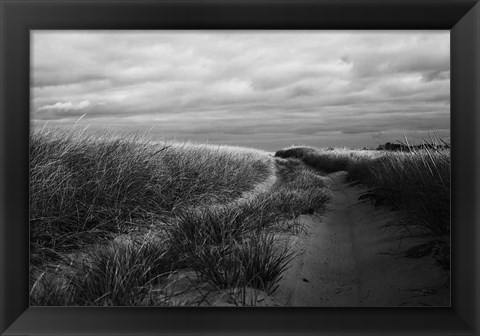 Framed Beach Grasses Print