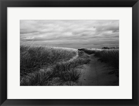 Framed Beach Grasses Print