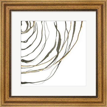 Framed Not Quite Concentric IV Print