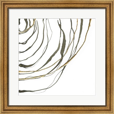 Framed Not Quite Concentric IV Print