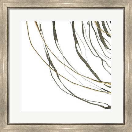 Framed Not Quite Concentric III Print