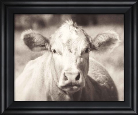 Framed Pasture Cow Neutral Print
