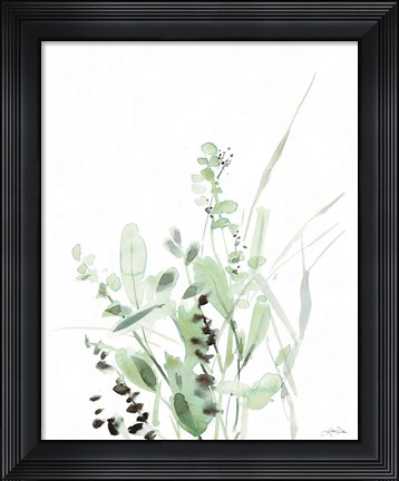 Framed Grasses II Print