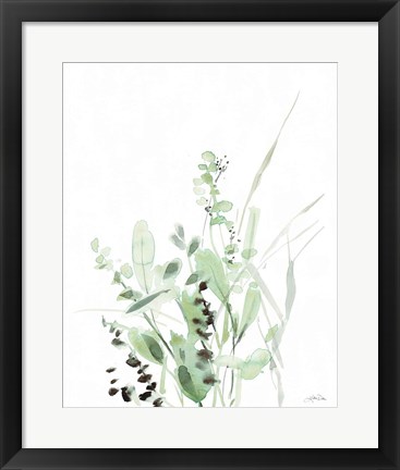 Framed Grasses II Print