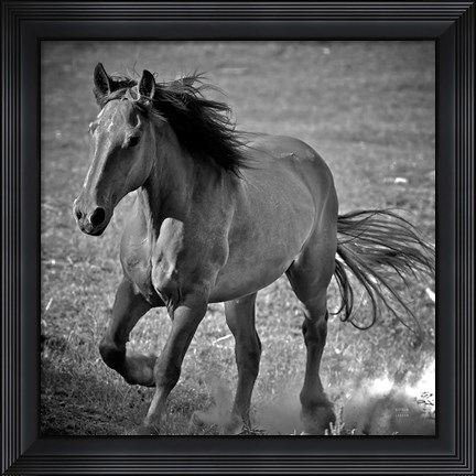 Framed Horse Runner Print