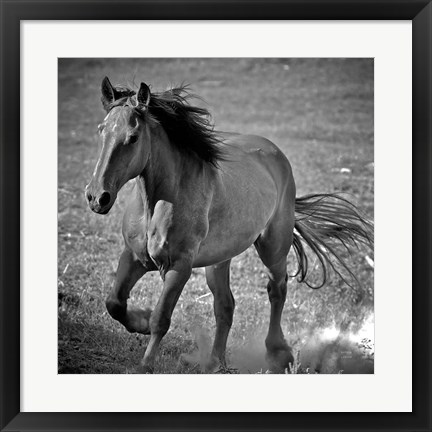 Framed Horse Runner Print