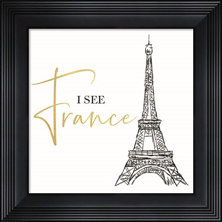 Framed Bath Art VI-I See France Print