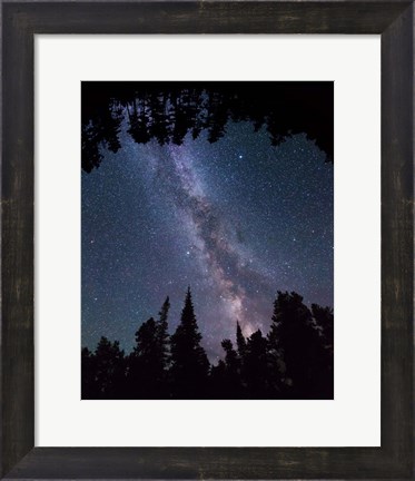 Framed Montana Sky Trees Print