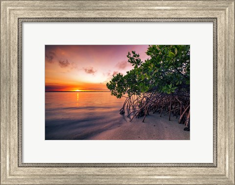 Framed Sunset Over the St. Lucie River Print