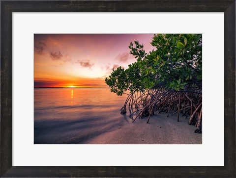 Framed Sunset Over the St. Lucie River Print