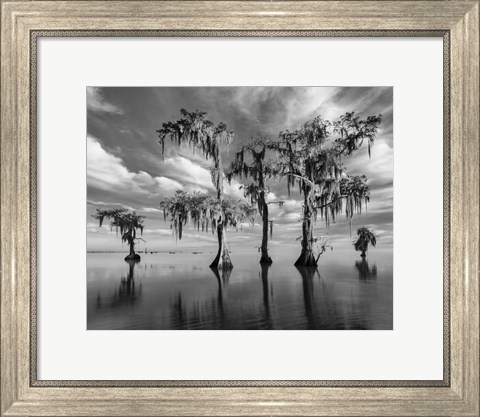 Framed Sentinels of Lake Maurepas Print