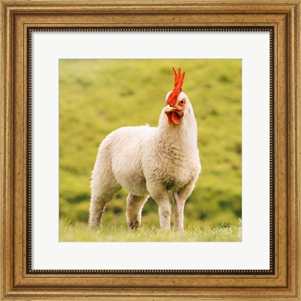 Framed Chickensheep Print