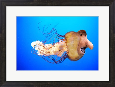 Framed Monkfish Print