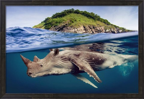 Framed Whino Print