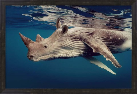 Framed Whino 2 Print