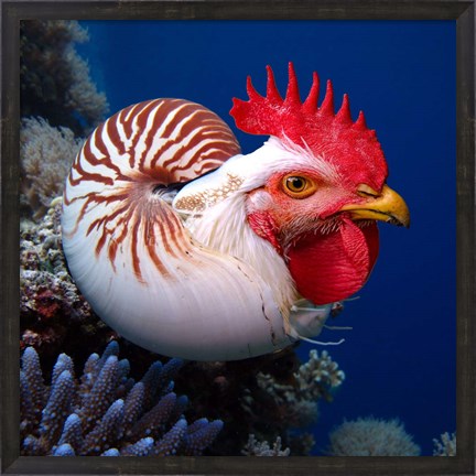 Framed Chicken of the Sea Print
