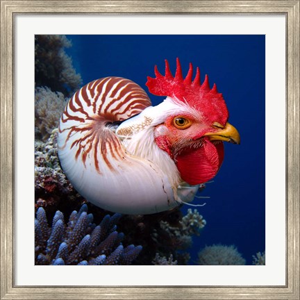 Framed Chicken of the Sea Print
