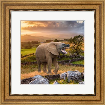 Framed Hyenaphant Print