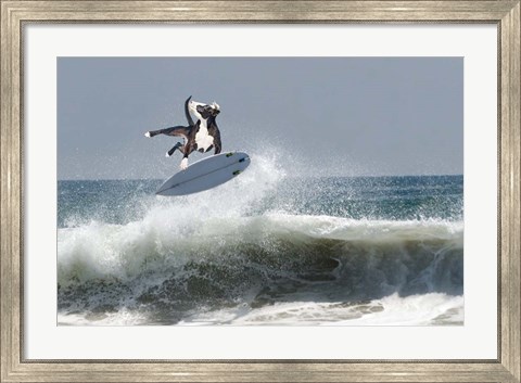 Framed Cowpup Surfing Print