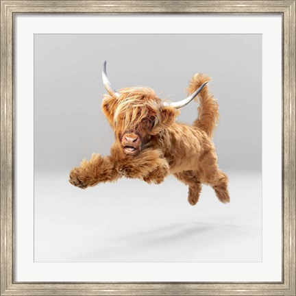 Framed Highland Pup Print