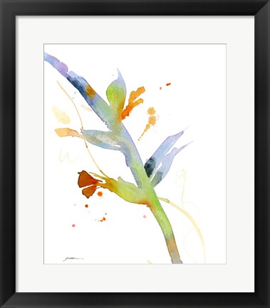 Framed Budding Print