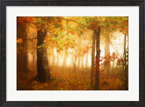 Framed Autumn&#39;s Rainbow Print