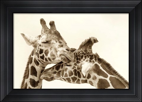 Framed In Love Print