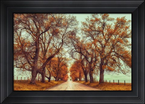 Framed November Adventures Print