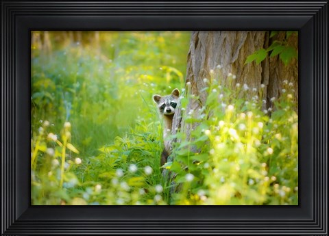 Framed Peek A Boo Print