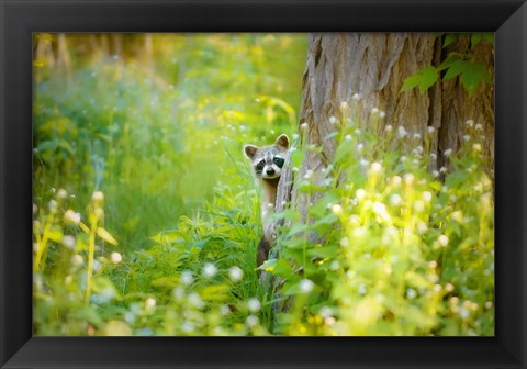 Framed Peek A Boo Print