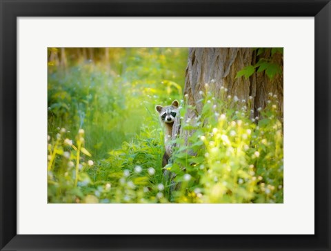 Framed Peek A Boo Print