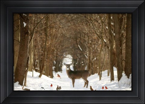 Framed Forest of Snow White Print