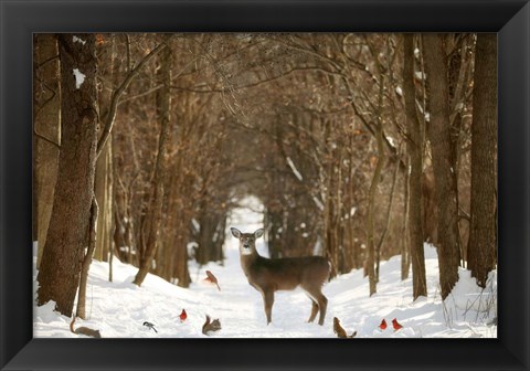 Framed Forest of Snow White Print