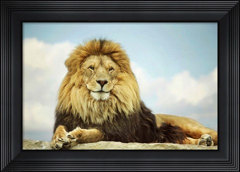 Framed King Print